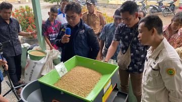Petani Oransbari Didampingi Kembangkan Beras Premium dengan Standar Mutu Internasional